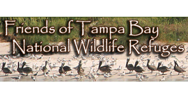 Friends of the Tampa Bay NWR